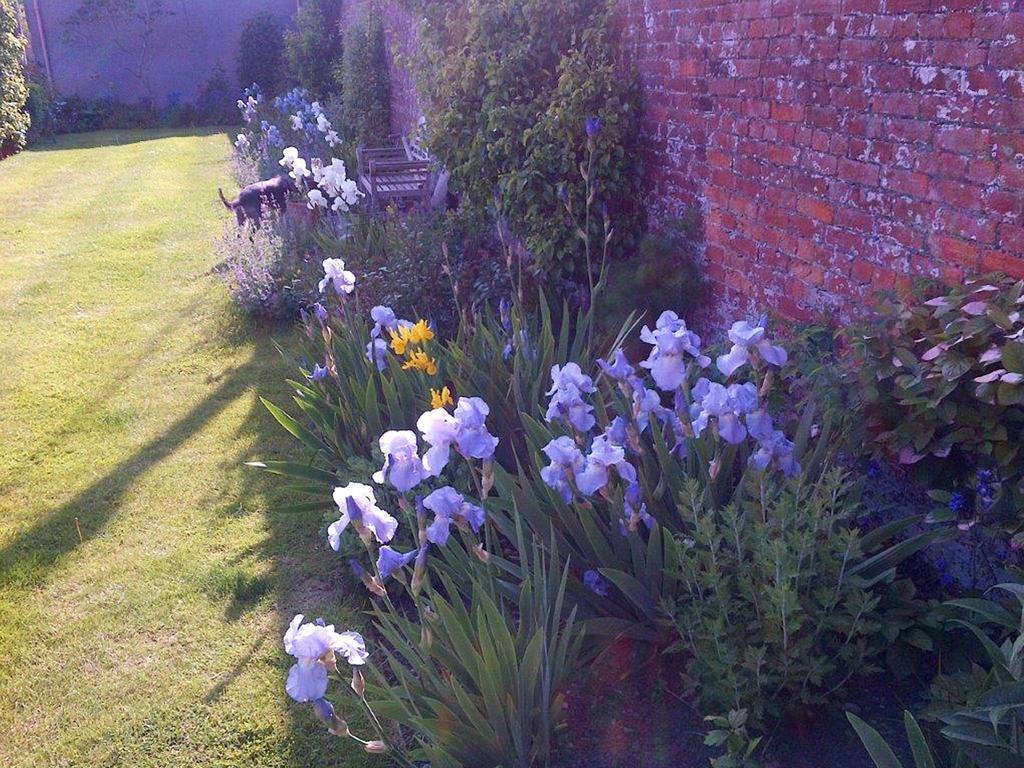 Bed and Breakfast Coxley House Wells Zewnętrze zdjęcie